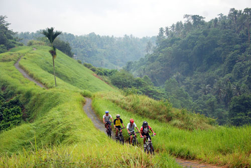 Bersepeda di Ubud@baliraftingmurah.com