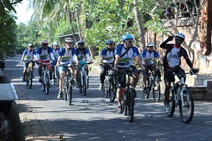 vello network@baliraftingmurah.com