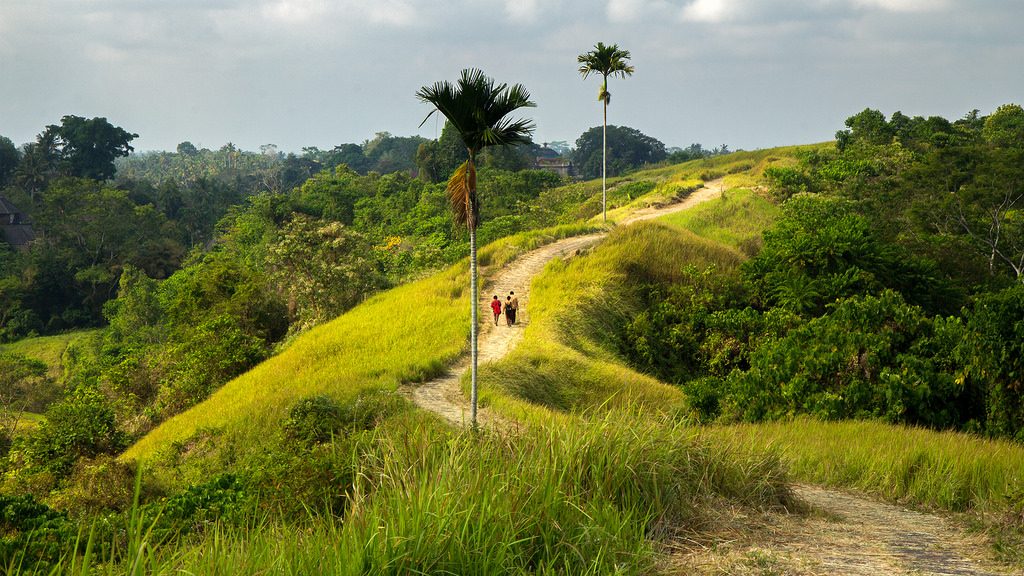 bukitchampuhanubud@baliraftingmurah.com