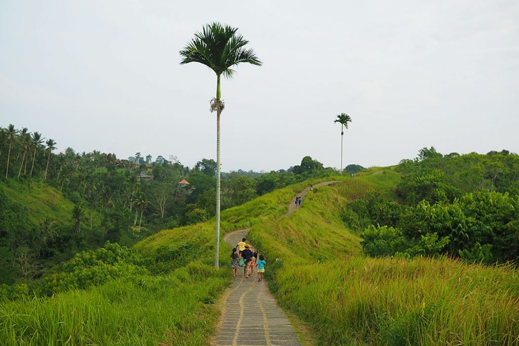 bukitchampuhanubud2-baliraftingmurah-1-1024x683