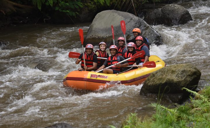 Ayungraftingbersamabaliredpaddle@baliraftingmurah.com