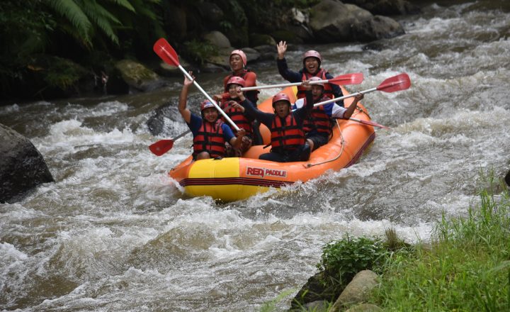 baliredpaddle@baliraftingmurah.com