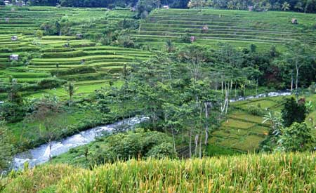 telaga waja@baliraftingmurah.com